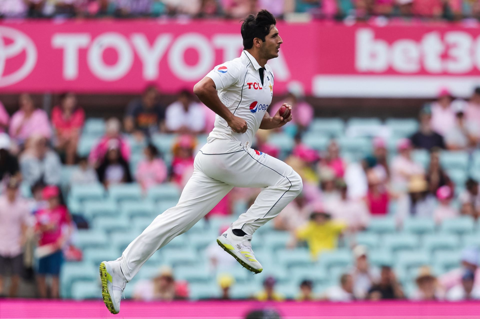 Mir Hamza replaced Naseem Shah